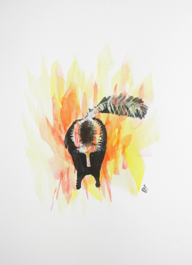 Skunk on Fire #1 Ink and Watercolor 15" x 11"