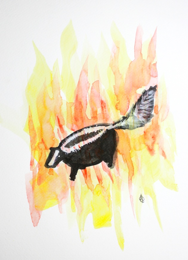 Skunk on Fire #3 Ink and Watercolor 15" x 11" 